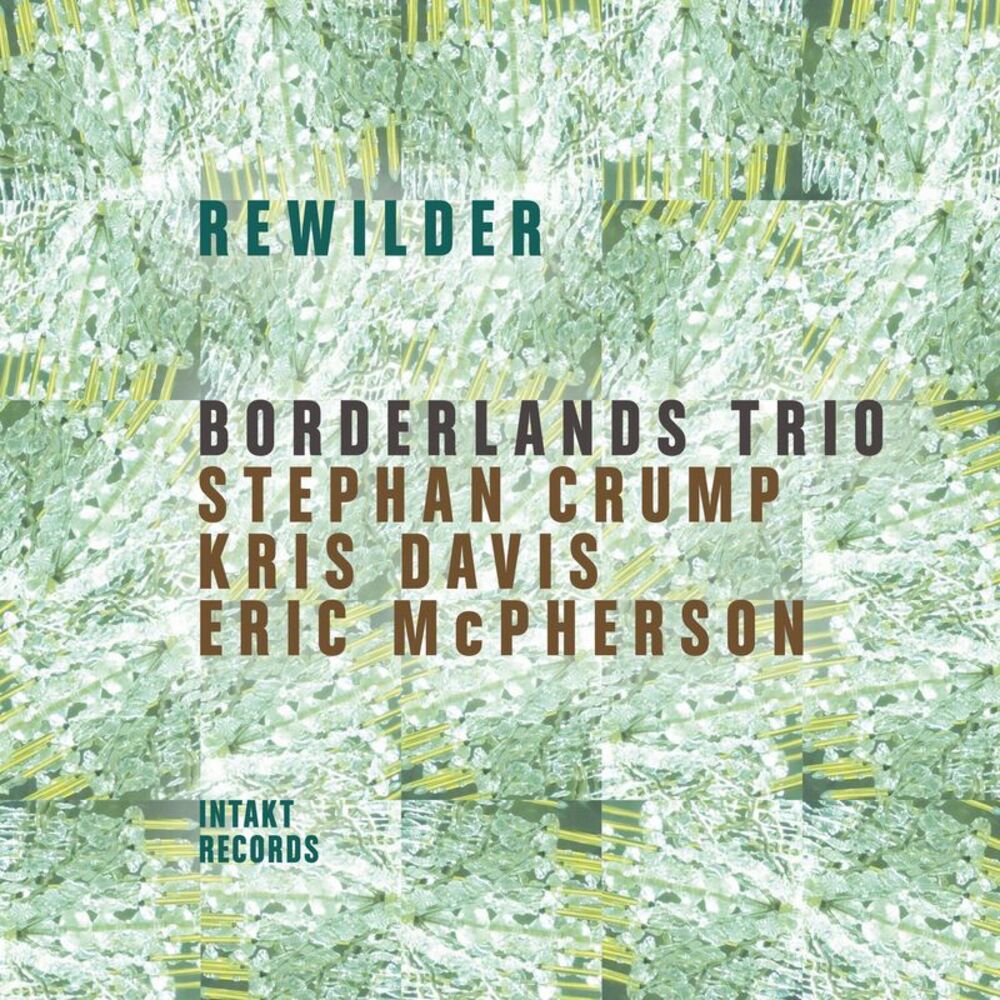 Borderlands Trio - Rewilder  CD